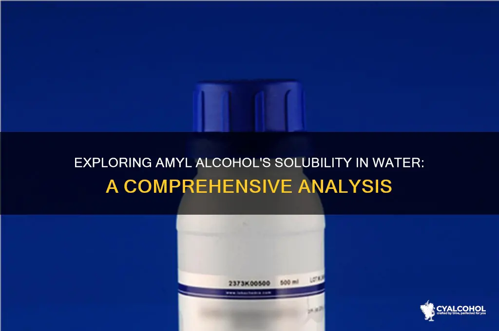 is amyl alcohol soluble in water