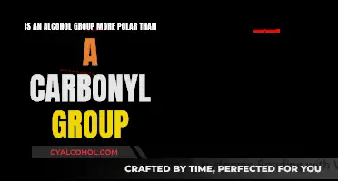 Why Alcohol Groups Are More Polar Than Carbonyl Groups