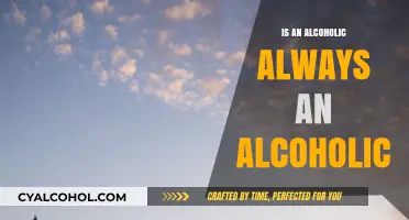 Is an Alcoholic Always an Alcoholic? Exploring Recovery and Identity