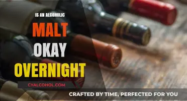 Is Overnight Storage Safe for Alcoholic Malt? Facts and Tips