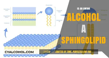 Are Amino Alcohols Sphingolipids? Understanding Their Chemical Relationship
