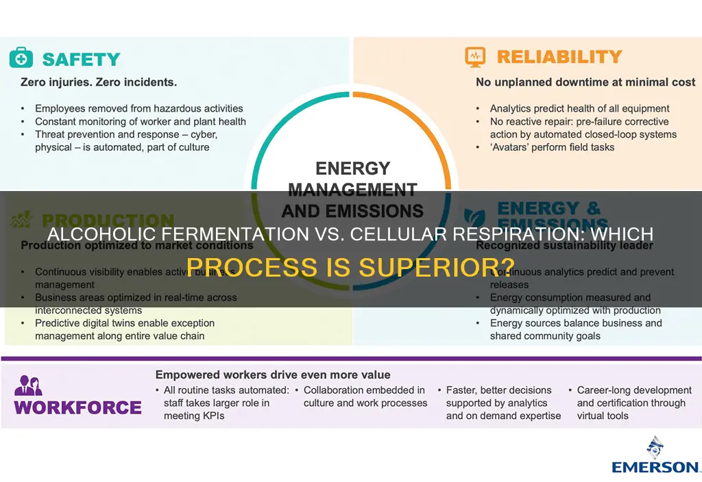 is anaerobic alcoholic fermentation or aerobic respiration more efficient