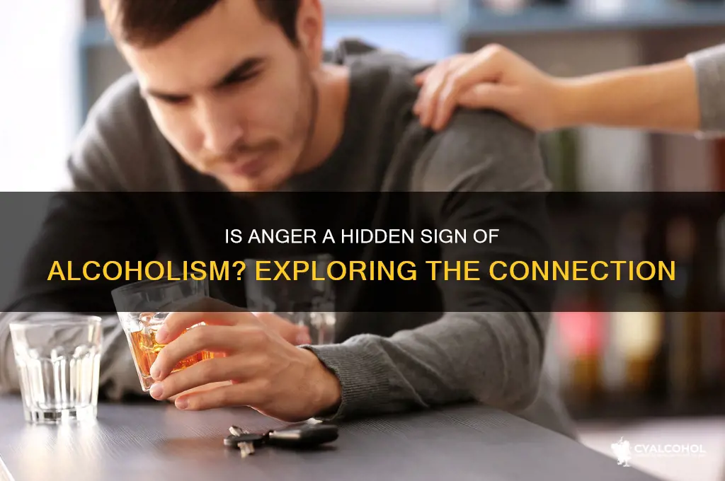 is anger a sign of alcoholism
