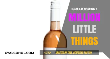 Anna's Alcoholism: A Million Little Things