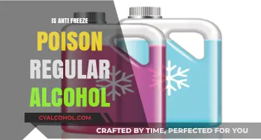 Is Antifreeze Poisonous Alcohol? Debunking Myths and Understanding Risks