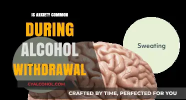 Anxiety and Alcohol Withdrawal: Understanding the Common Connection
