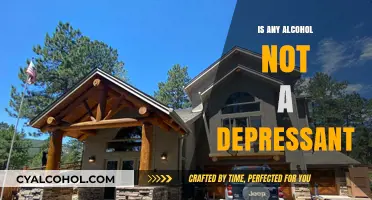 Debunking Myths: Is Any Alcohol Not a Depressant?