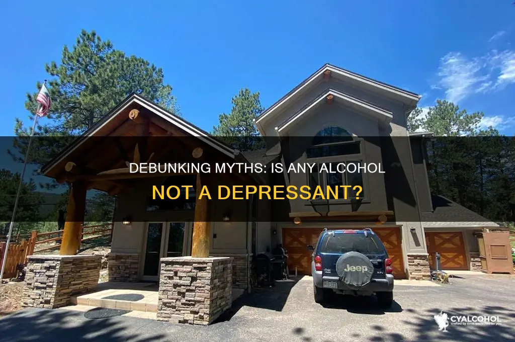 is any alcohol not a depressant