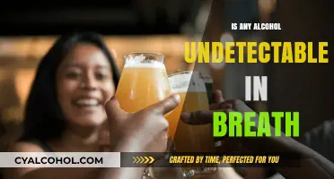 Can Alcohol Be Undetectable in Breath? Myths and Facts Explained