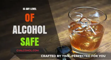 Is Any Alcohol Safe? Debunking Myths and Understanding Risks
