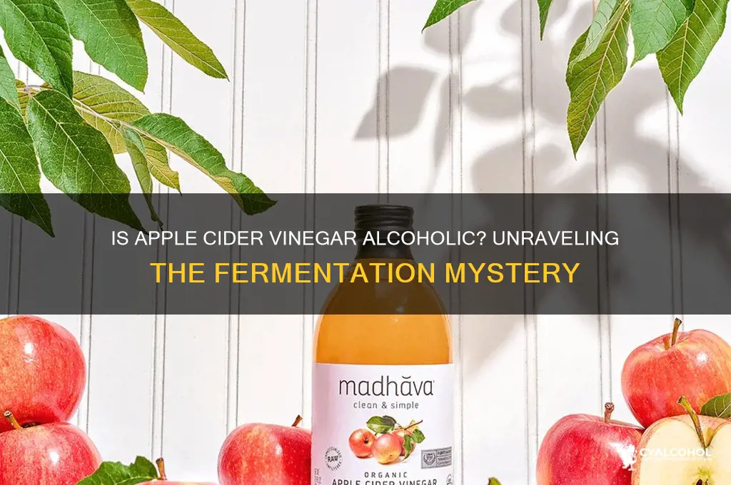 is apple cider vinegar alcoholic