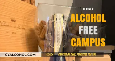 Is ATSU Alcohol-Free? Exploring Campus Policies and Student Life