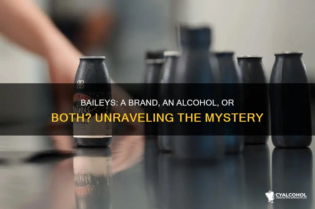 is baileys a brand or alcohol