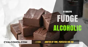 Does Baileys Fudge Contain Alcohol? Uncovering the Truth Behind the Treat