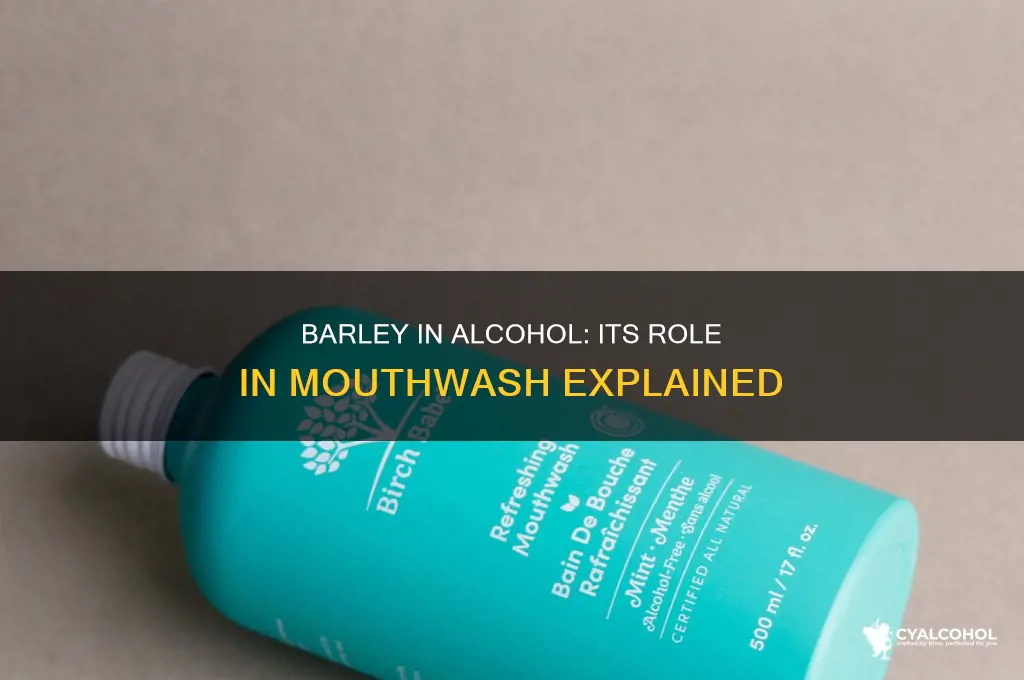 is barley in alcohol in mouthwash