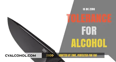 BC's Zero Tolerance Alcohol Policy: What You Need to Know