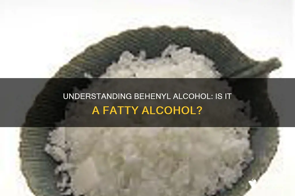 is behenyl alcohol a fatty alcohol