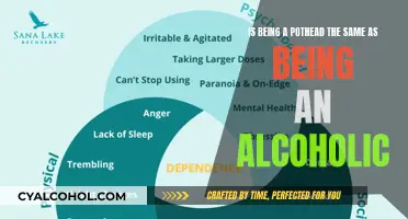 Pothead vs Alcoholic: Is There a Difference?
