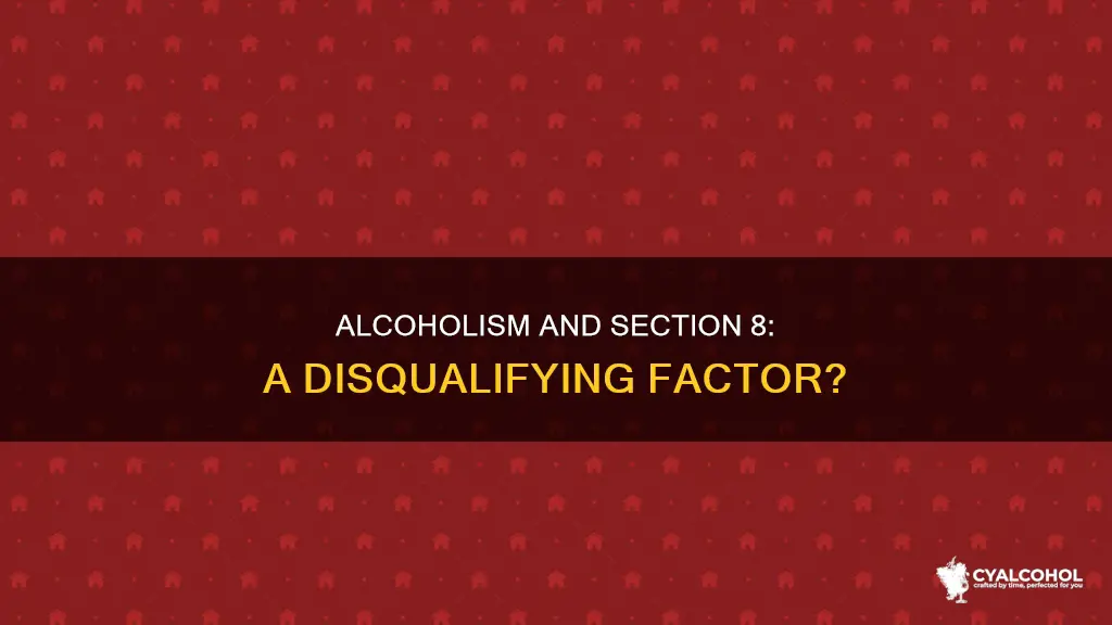 is being an alcoholic a section 8 housing disqualification