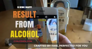 Alcohol and Irritability: Does Drinking Lead to Snappy Behavior?