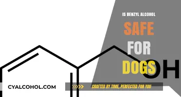 Is Benzyl Alcohol Safe for Dogs? A Comprehensive Guide