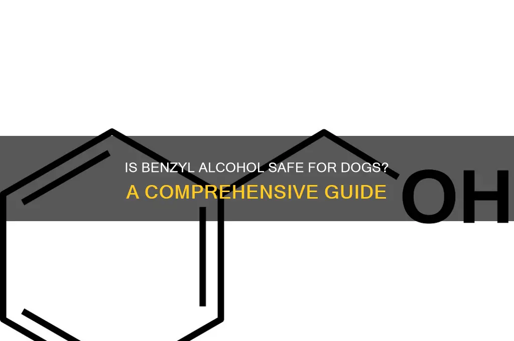is benzyl alcohol safe for dogs