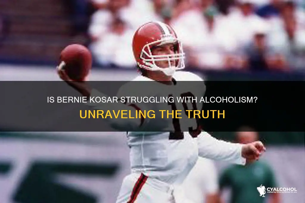 is bernie kosar an alcoholic