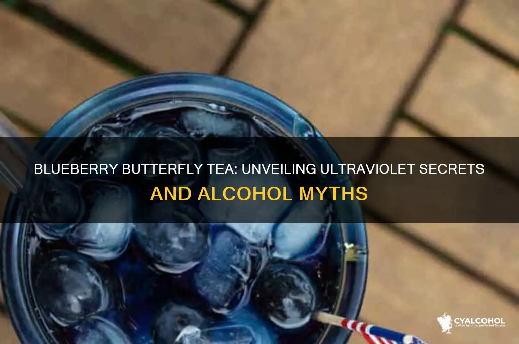 is blueberry butterfly ultraviolet tea alcohol