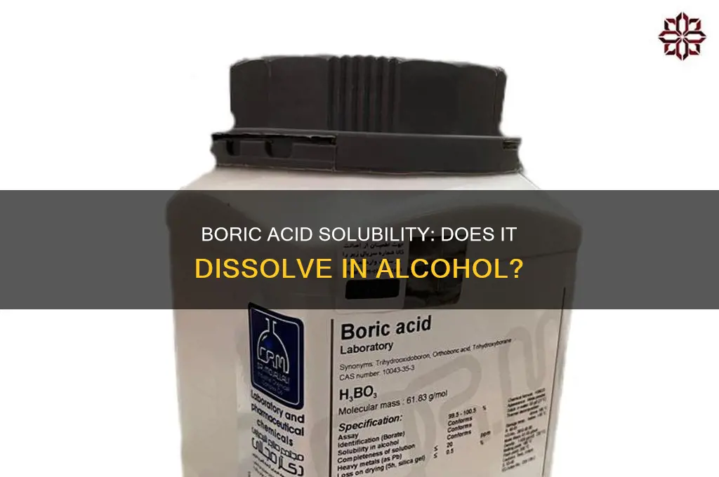 is boric acid soluble in alcohol