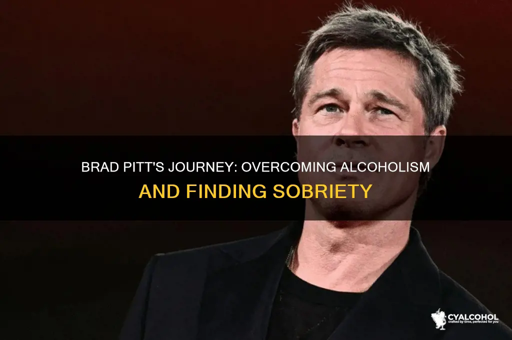 is brad pitt a recovering alcoholic