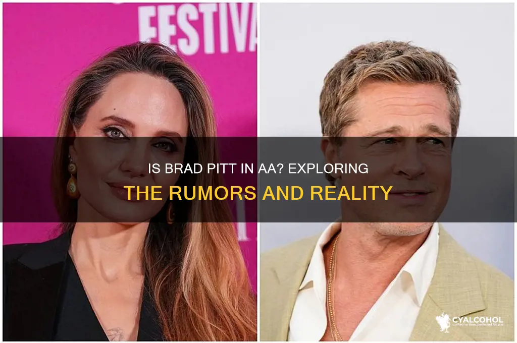 is brad pitt in alcoholics anonymous