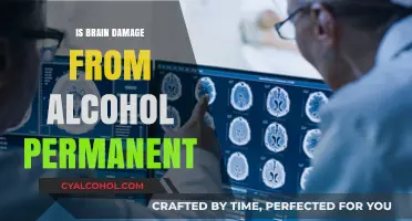 Can Alcohol-Induced Brain Damage Be Reversed? Facts and Hope