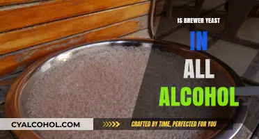 Brewer's Yeast in Alcohol: Fact or Fiction?