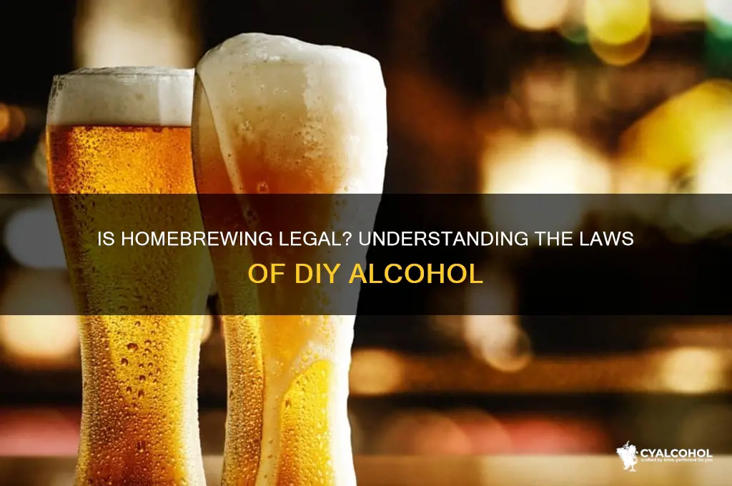 is brewing your own alcohol illegal