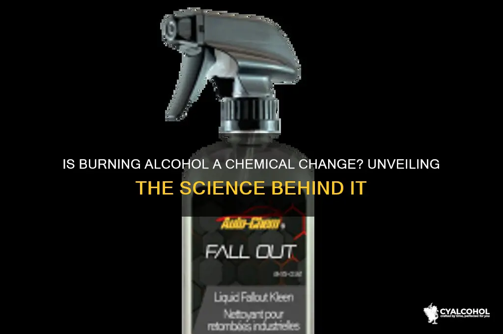 is burning alcohol a chemical change