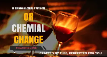 Alcohol Burning: Physical or Chemical Change?