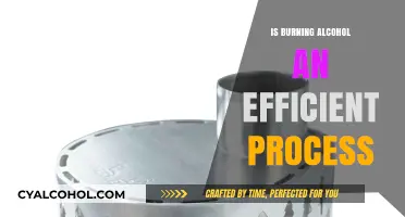 Is Burning Alcohol Efficient? Exploring Energy Output and Environmental Impact