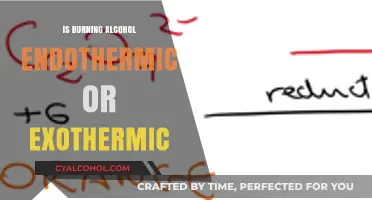 Is Burning Alcohol Endothermic or Exothermic? Unveiling the Chemistry