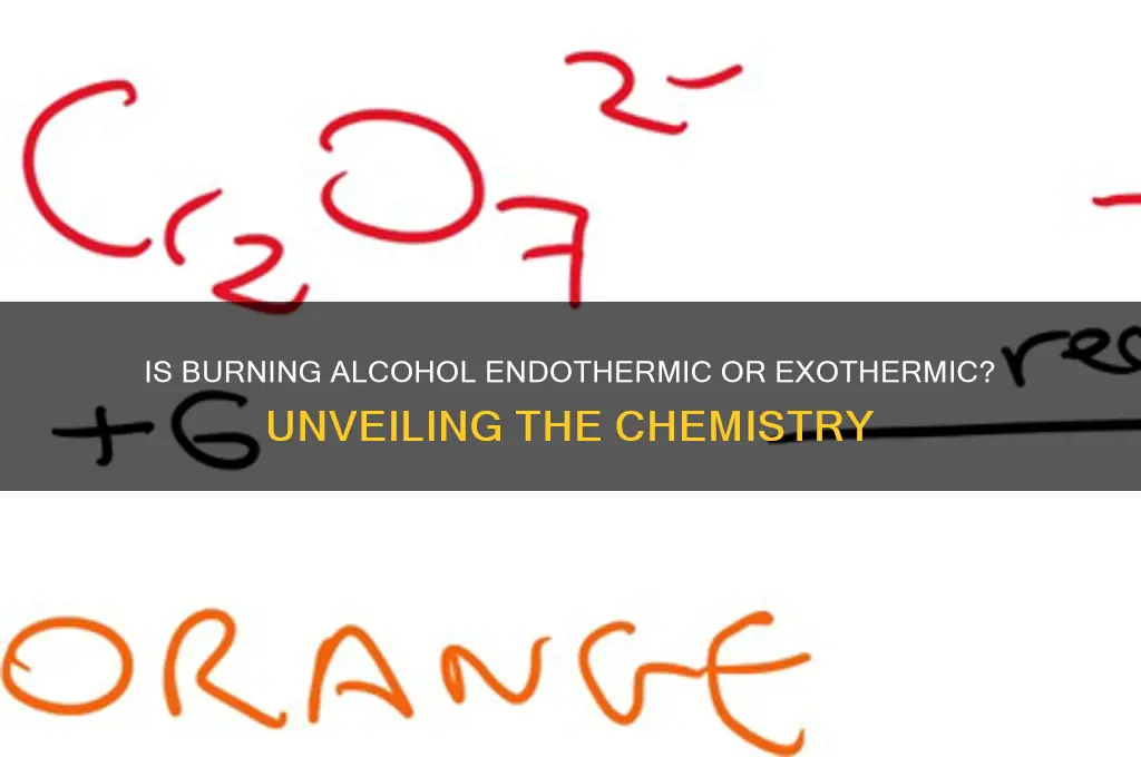 is burning alcohol endothermic or exothermic