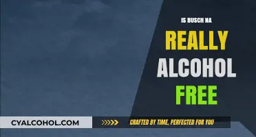 Is Busch NA Truly Alcohol-Free? Uncovering the Facts Behind the Label