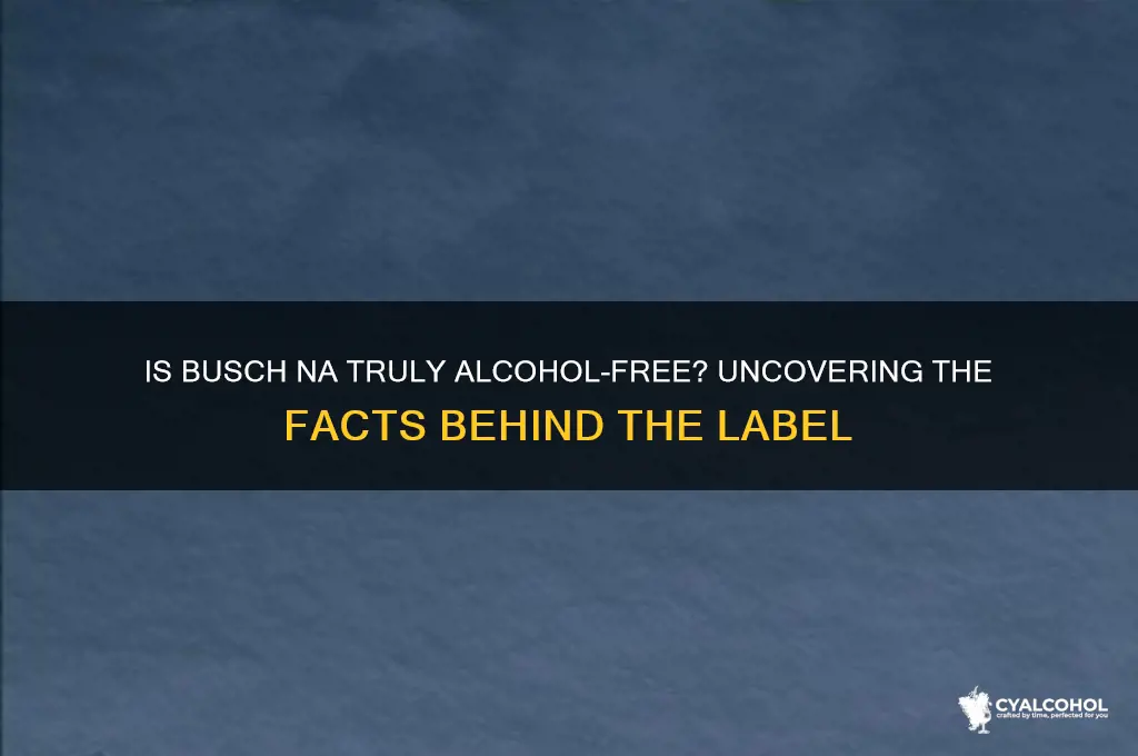 is busch na really alcohol free