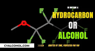 Is Butane a Hydrocarbon or Alcohol? Understanding Chemical Classifications