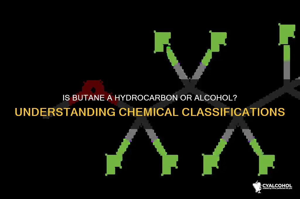 is butane a hydrocarbon or alcohol