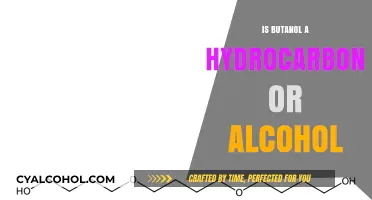 Butanol: Hydrocarbon or Alcohol? Unraveling Its Chemical Classification