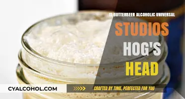 Butterbeer's Alcohol Content: Universal's Hog's Head Pub