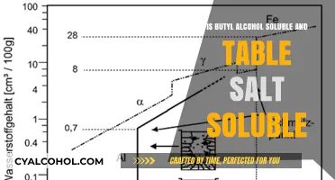 Solubility: Butyl Alcohol vs. Table Salt