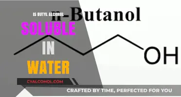 Is Butyl Alcohol Water-Soluble? Exploring Its Solubility Properties