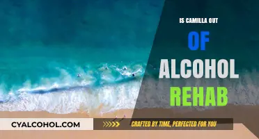 Camilla's Recovery Journey: Is She Out of Alcohol Rehab?