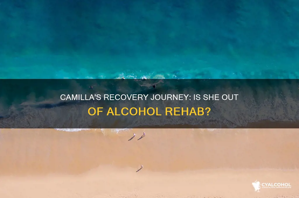 is camilla out of alcohol rehab