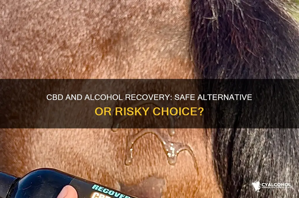 is cbd safe for recovering alcoholics
